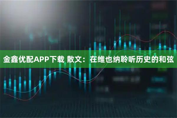 金鑫优配APP下载 散文：在维也纳聆听历史的和弦