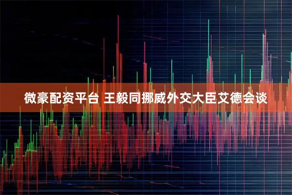 微豪配资平台 王毅同挪威外交大臣艾德会谈