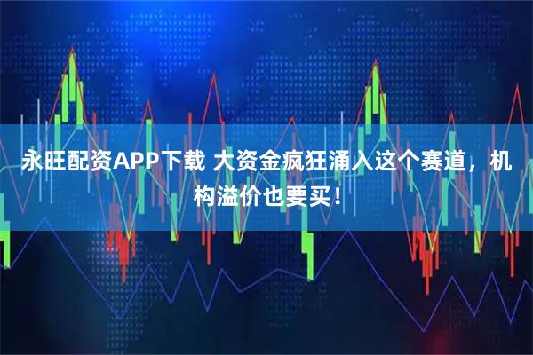 永旺配资APP下载 大资金疯狂涌入这个赛道，机构溢价也要买！
