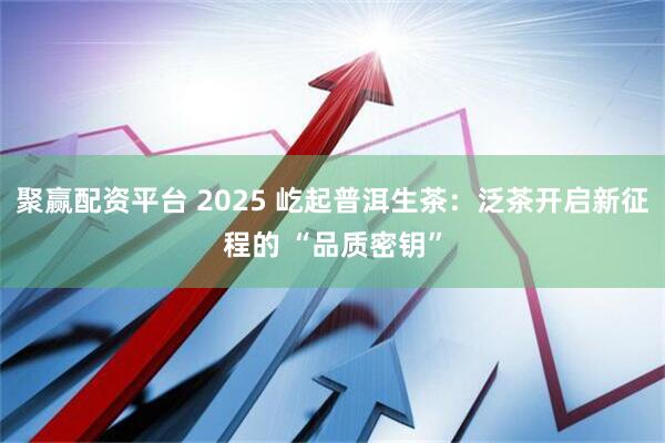 聚赢配资平台 2025 屹起普洱生茶：泛茶开启新征程的 “品质密钥”